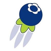 BlueberryE GmbH coupons